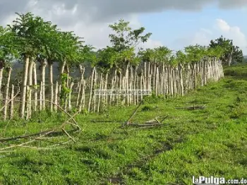 Terreno en polo - barahona