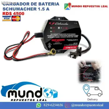 Cargador de bateria mantenedor