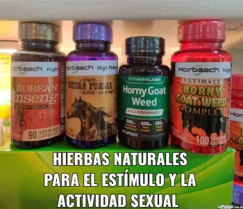 Hierbas y plantas naturales para la potencia sexual hombres