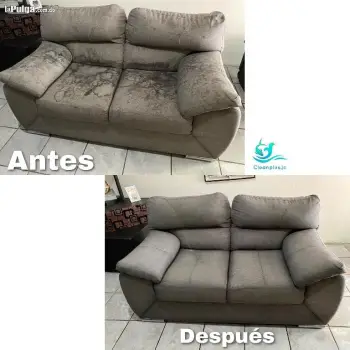 Limpieza de muebles y colchones