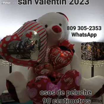 San valentin osos gigantes