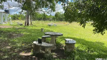 Vendo 100 tareas de tierra en la autovía de samaná monte plata