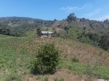 Finca de 150 tareas de venta en bonao