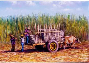 Pintor dominicano cuadro costumbrista obra de arte e.vidal