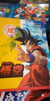 Cuadernos apolo 200 paginas a 50 pesos 12 por 600