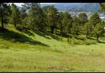 Vendo solar ubicado en constanza