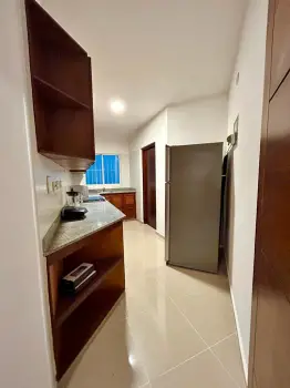 Alquilo - apartamento amueblado - gazcue