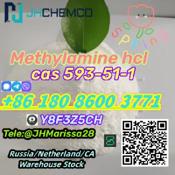 Eu warehouse cas 593-51-1 methylamine hydrochloride   threema y8f3z5ch