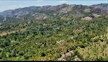 Venta de finca y terreno en samanÁ