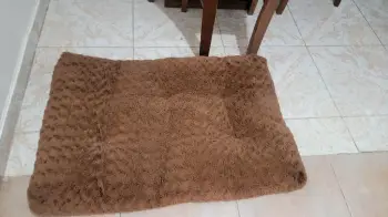 Cama para perro