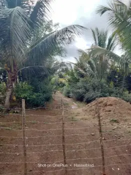 Finca en venta monte plata100