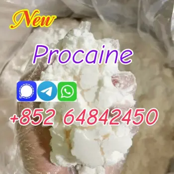 procaine base cas59-46-1 procaine hcl 51-05-8 with low price in stock