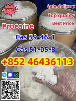 High purity cas 59-46-1 procaine powder procaine base ship worldwide