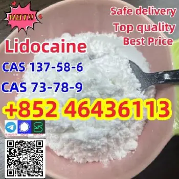 Lidocaine powder hot sell in uk holland cas 137-58-6    add 852 464361