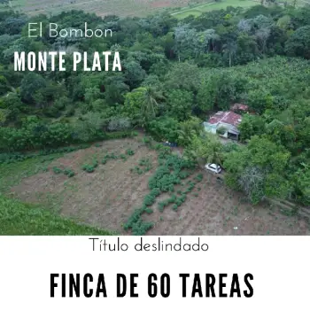 Finca de 60 tareas agrícolas con casa campestre