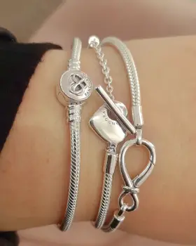 Pandoras 100 plata 925 ale
