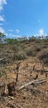Venta de terreno 1200 tareas