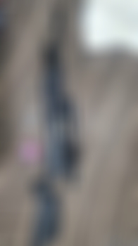 Rifle umarex cm 22 nuevo con 2 cargadores