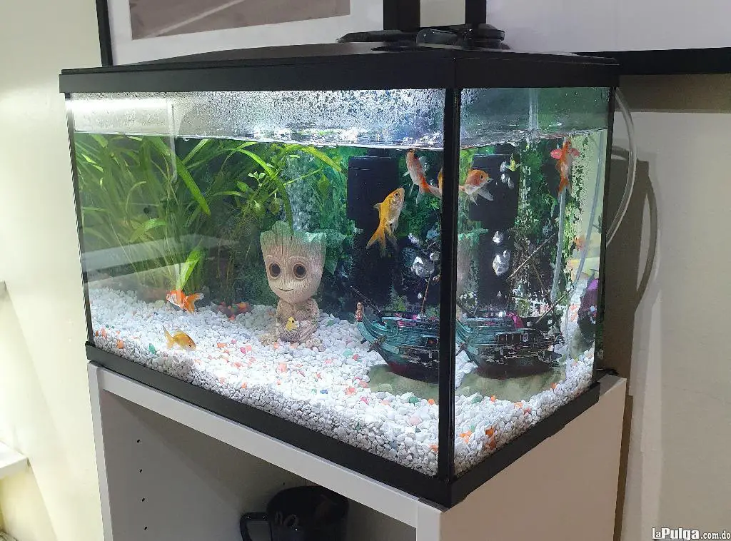 Súper oferta! Pecera de 5 galones 19 Litros LED. Acuario con LED Foto 7130322-2.jpg