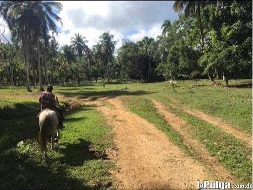 Venta de Finca de 1000 tareas con rio en Hato Mayor Foto 7134034-3.jpg