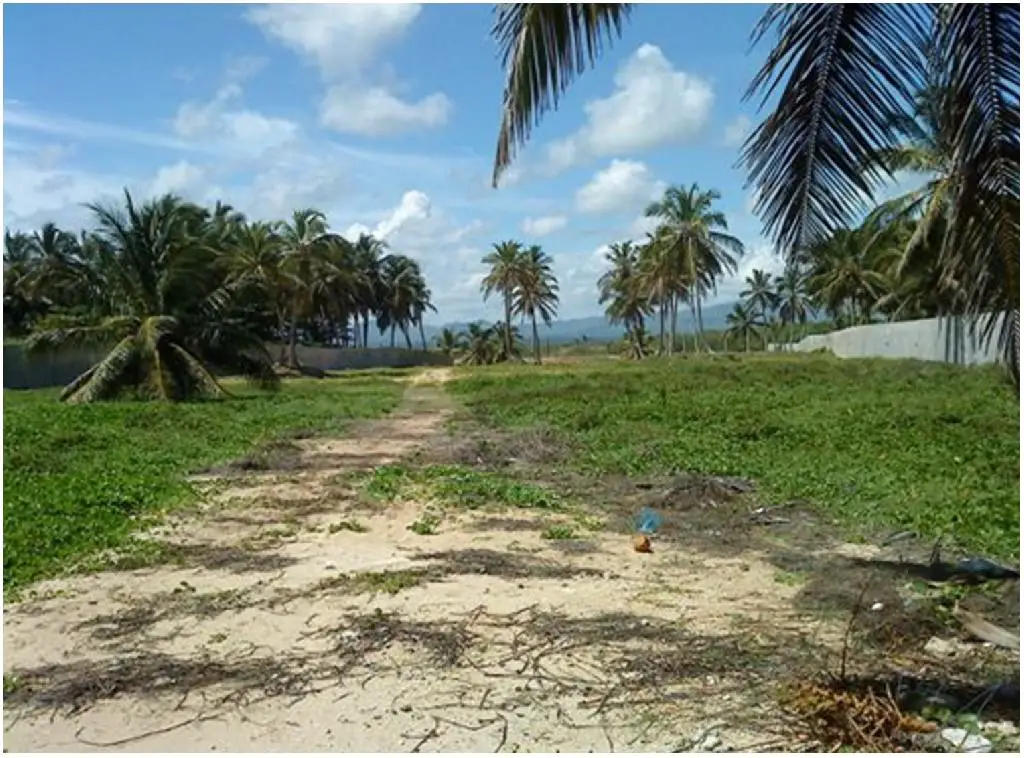 900000 DE METROS CUADRADOS DE TERRENO CON PLAYA EN UVERO ALTO CON LA M Foto 7218220-5.jpg