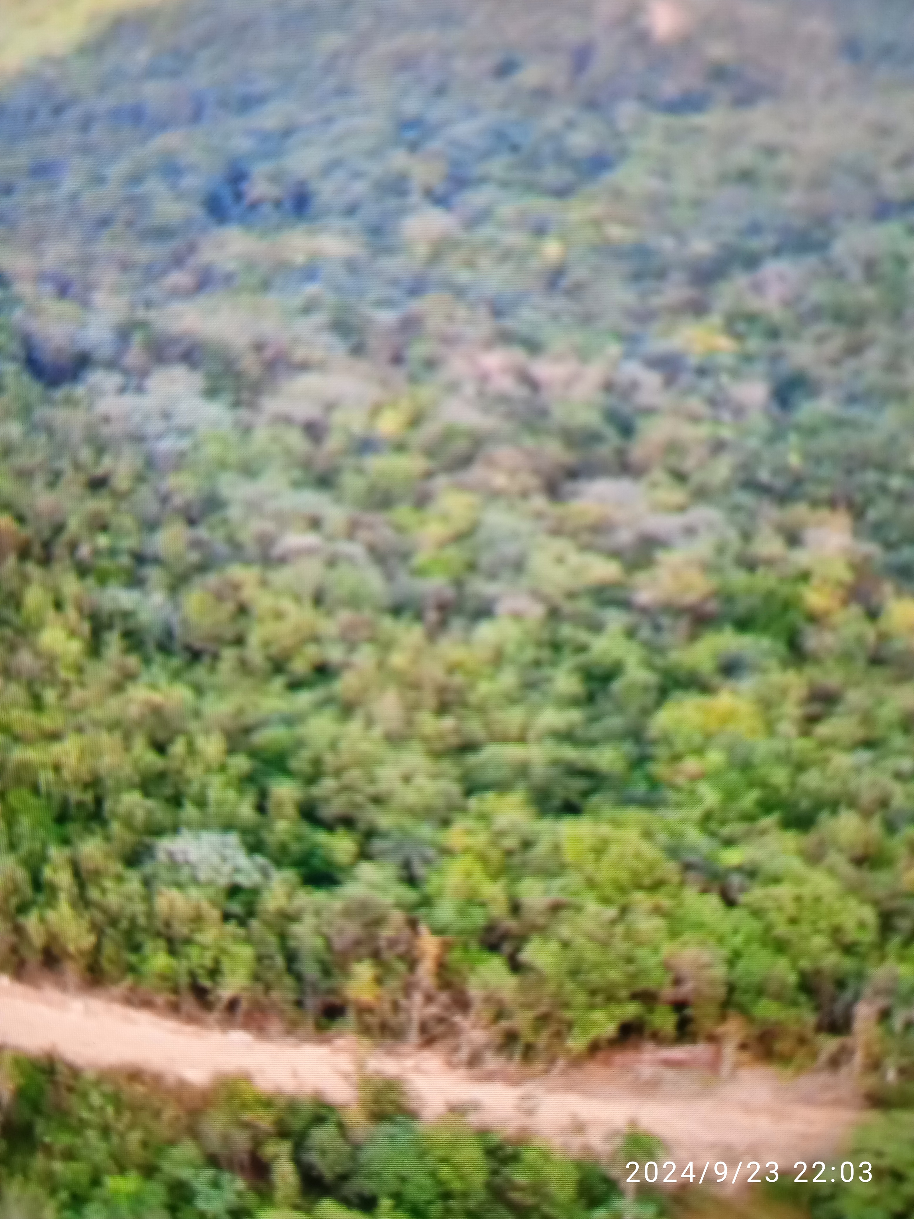 Financiamos finquitas familiar proyecto cerrado desde 3 mil MT. Foto 7250222-3.jpg
