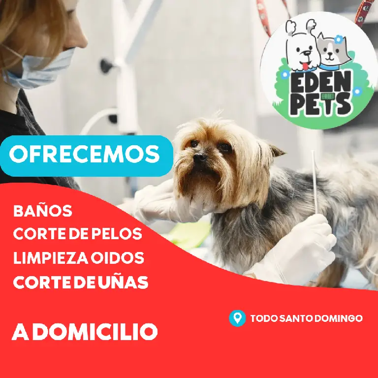 Baños para caninos a domicilio Foto 7259812-1.jpg