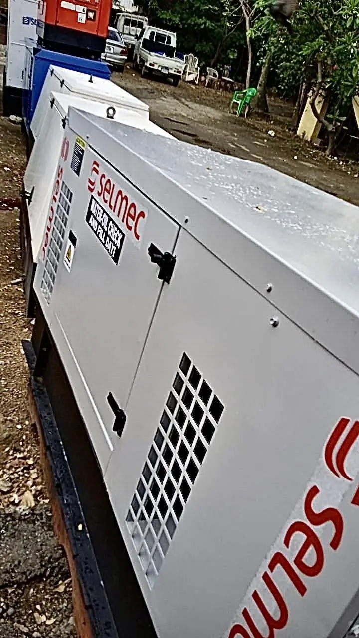 PLANTA ELÉCTRICA SELMEC CON PERKINS STANFORD DISPONIBLE ➡️⚡️???? Foto 7264428-3.jpg