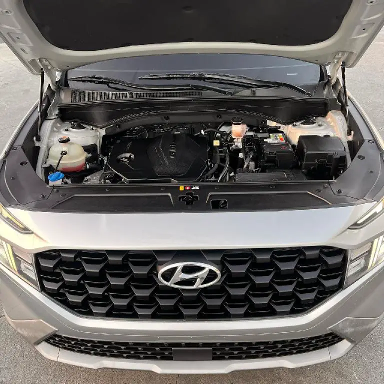 Hyundai Santa Fe SE 2021 Foto 7274932-7.jpg
