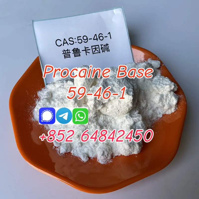  Procaine Base Cas59-46-1 Procaine hcl 51-05-8 with low price in stock Foto 7276107-2.jpg