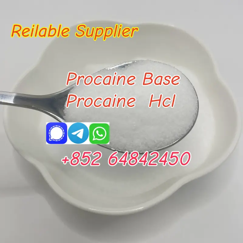  Procaine Base Cas59-46-1 Procaine hcl 51-05-8 with low price in stock Foto 7276107-3.jpg