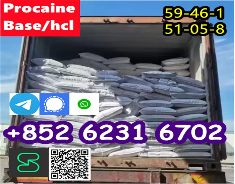 Procaine cas 59-46-1 Procaine hcl cas 51-05-8 china factory direct sal Foto 7276294-2.jpg