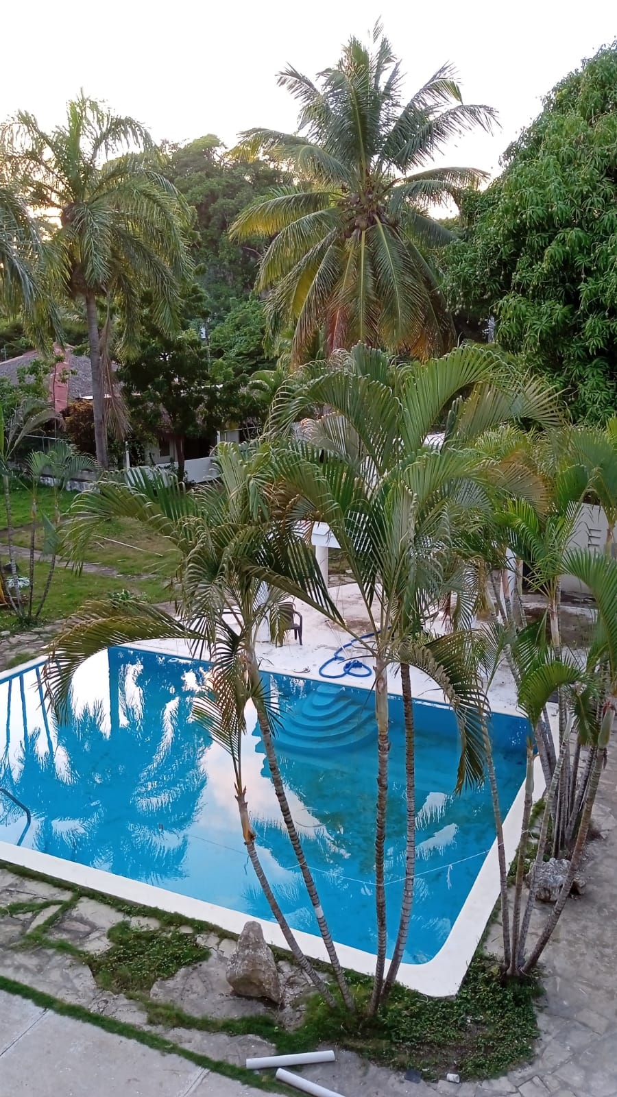Apartamento en Cofresí Puerto plata  Foto 7276507-13.jpg