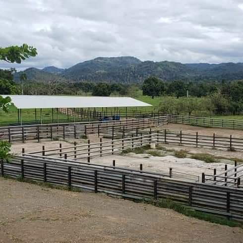 Finca en Venta Cotuí Foto 7277857-1.jpg