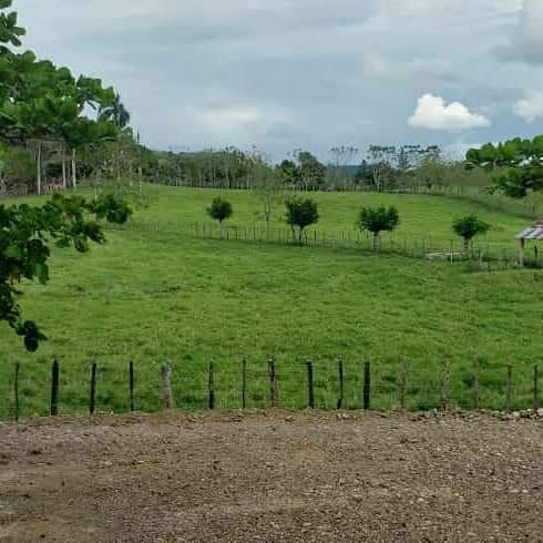 Finca en Venta Cotuí Foto 7277857-2.jpg