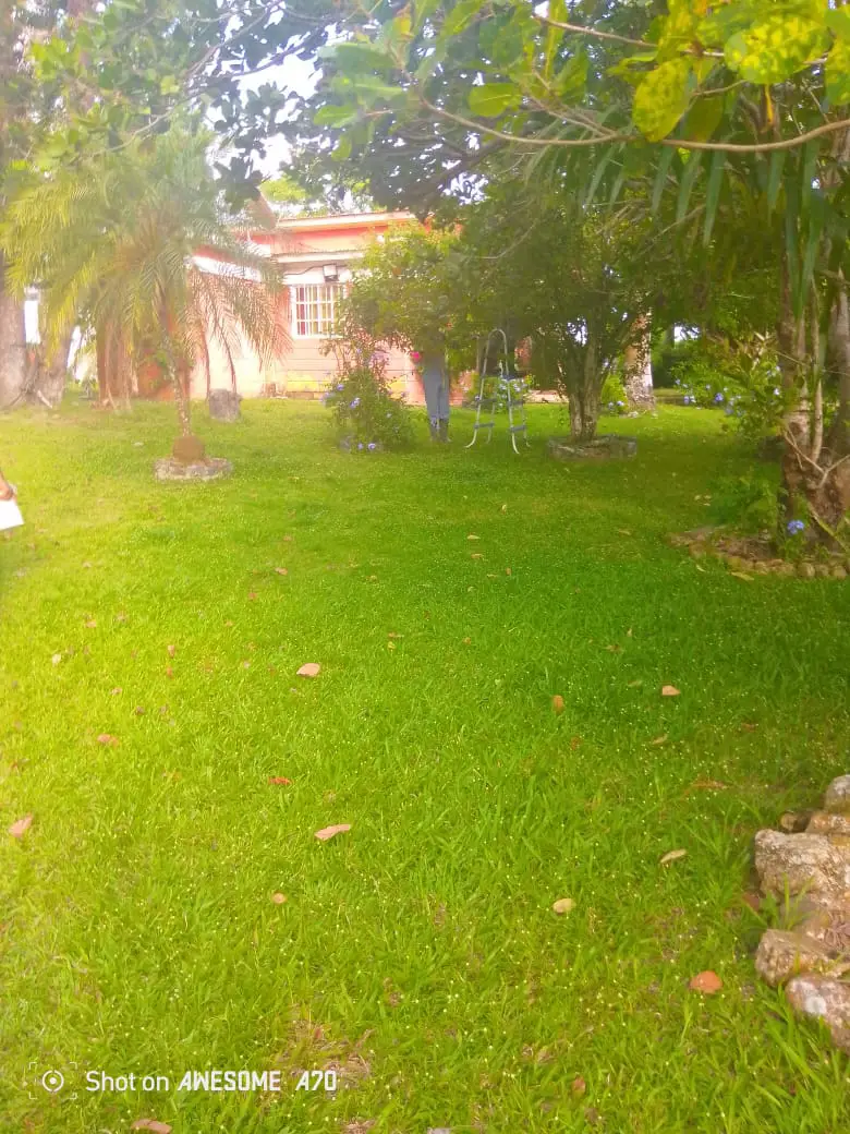Finca en Venta Guanuma Foto 7277859-4.jpg