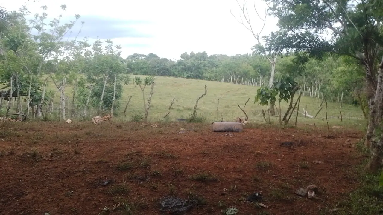 Finca en Venta Monte Plata102 Foto 7277864-4.jpg