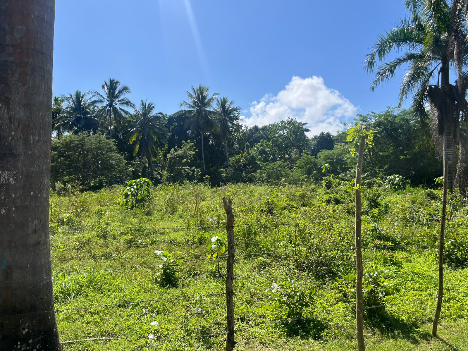 Oportunidad única! Terreno de 1500 Mts2 en venta en exclusivo residenc Foto 7278171-5.jpg