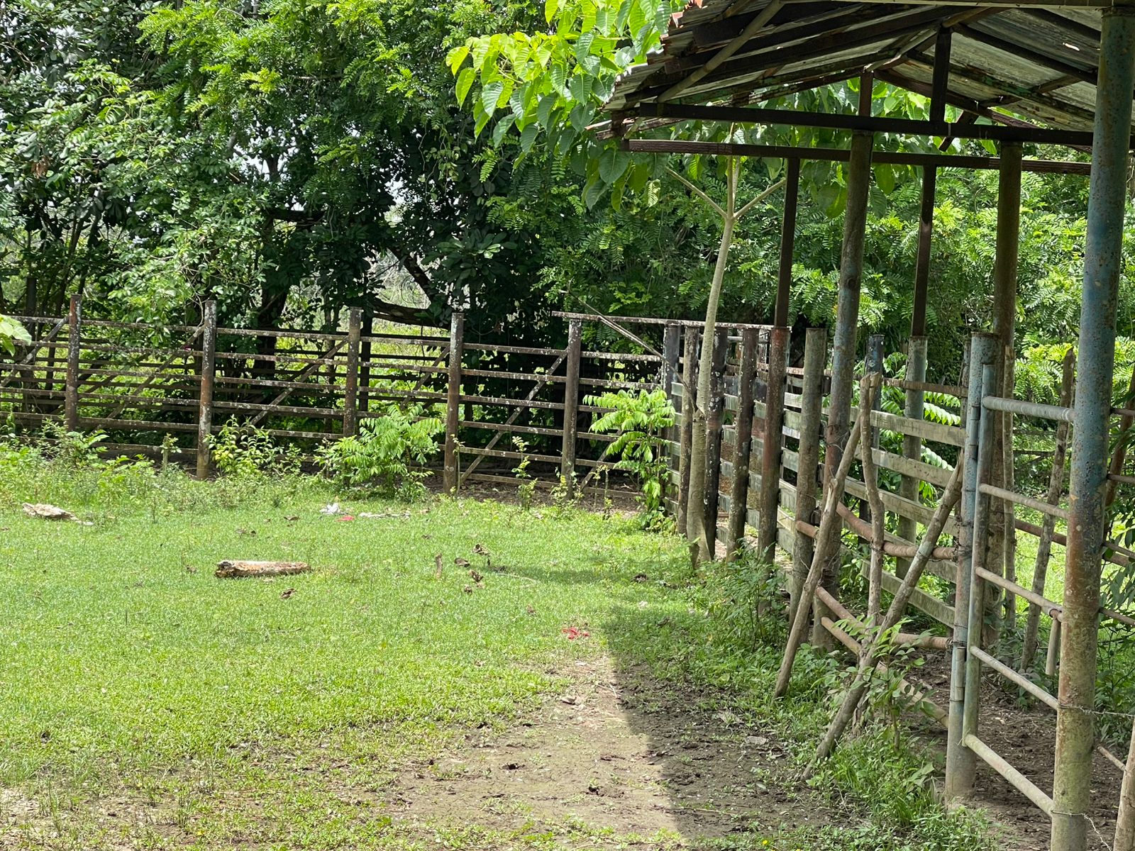 Vendo Finca de 2500 tareas en Santo Domingo Norte a la Orilla de la Ca Foto 7279620-15.jpg