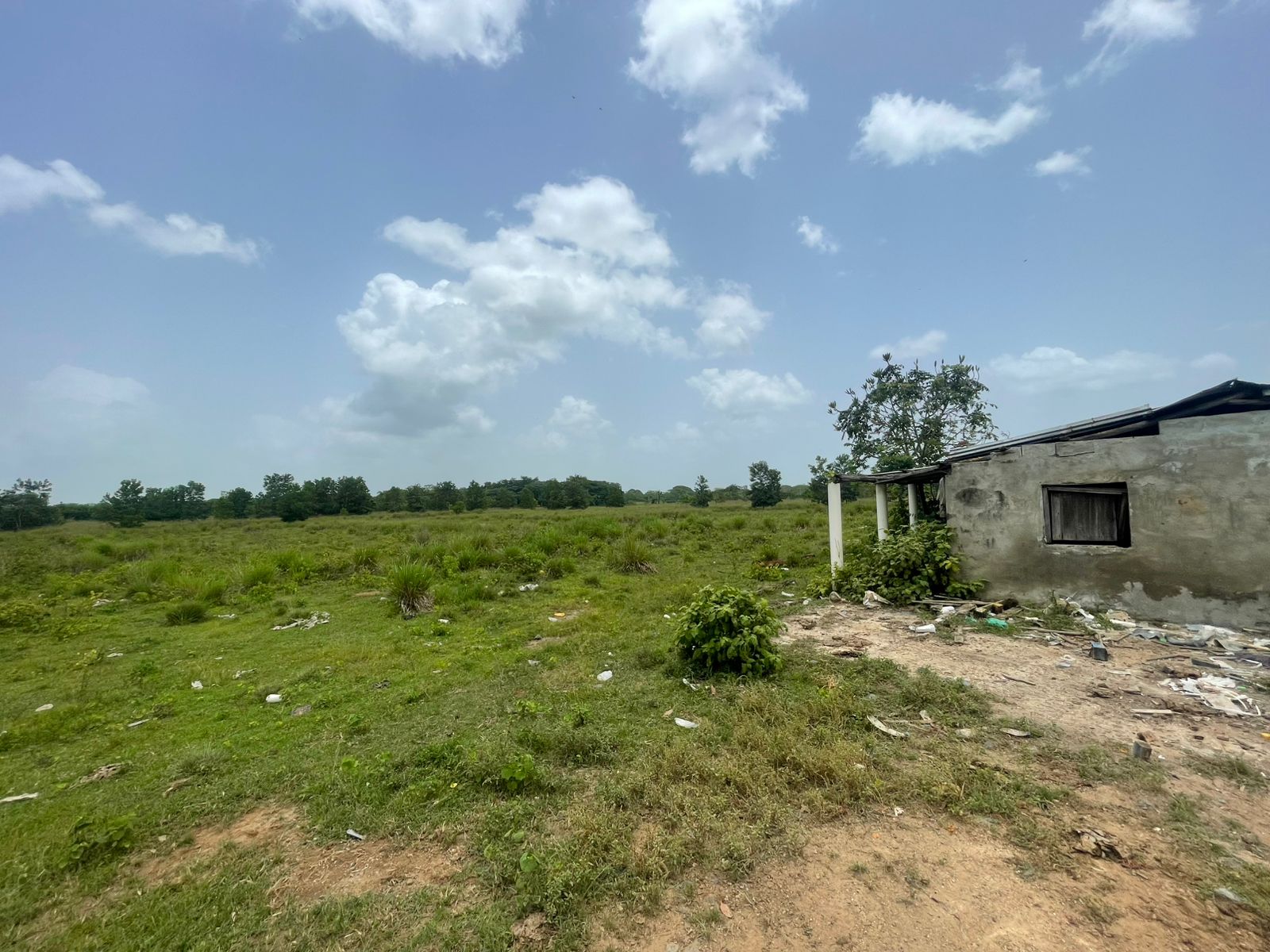 Vendo Finca de 2500 tareas en Santo Domingo Norte a la Orilla de la Ca Foto 7279620-3.jpg