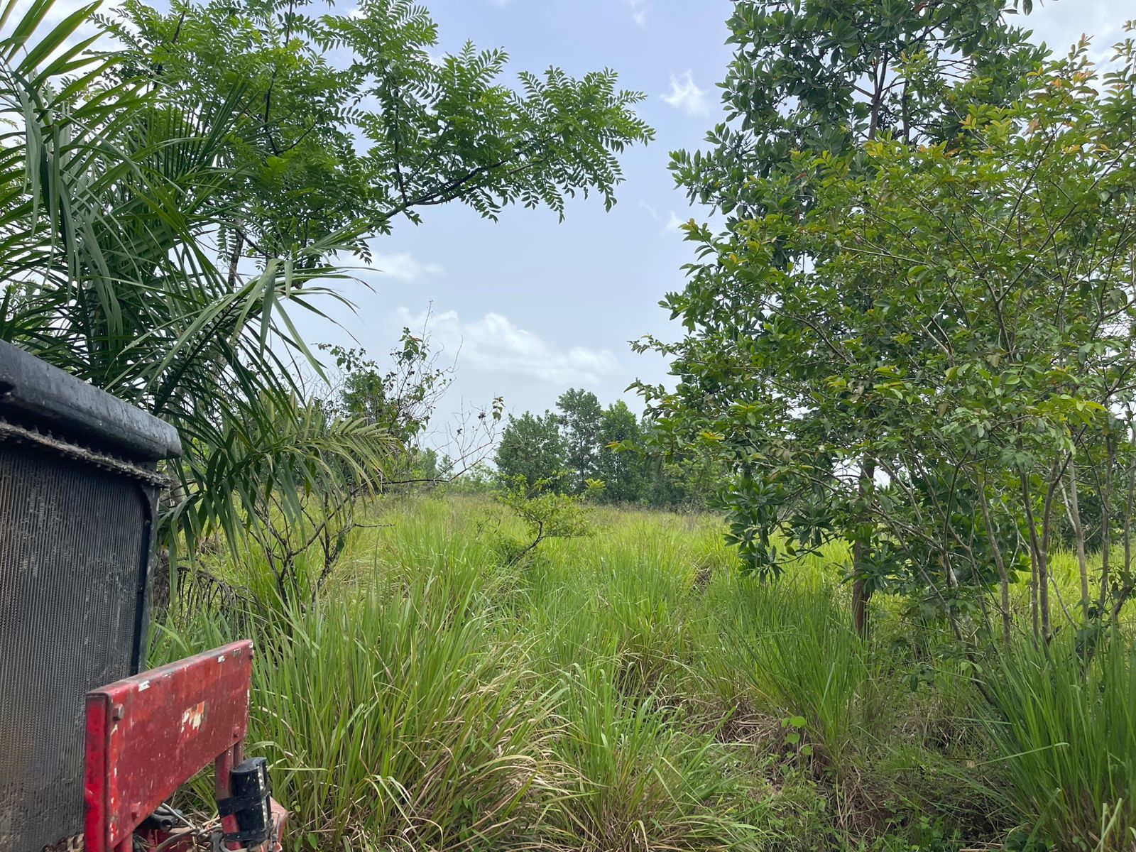 Vendo Finca de 2500 tareas en Santo Domingo Norte a la Orilla de la Ca Foto 7279620-5.jpg