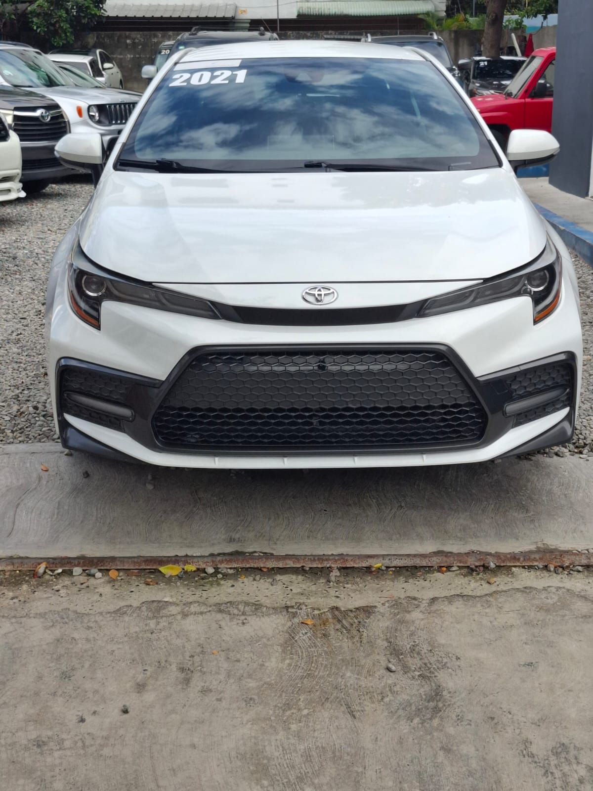 Toyota Corolla SE 2019 Foto 7281591-5.jpg