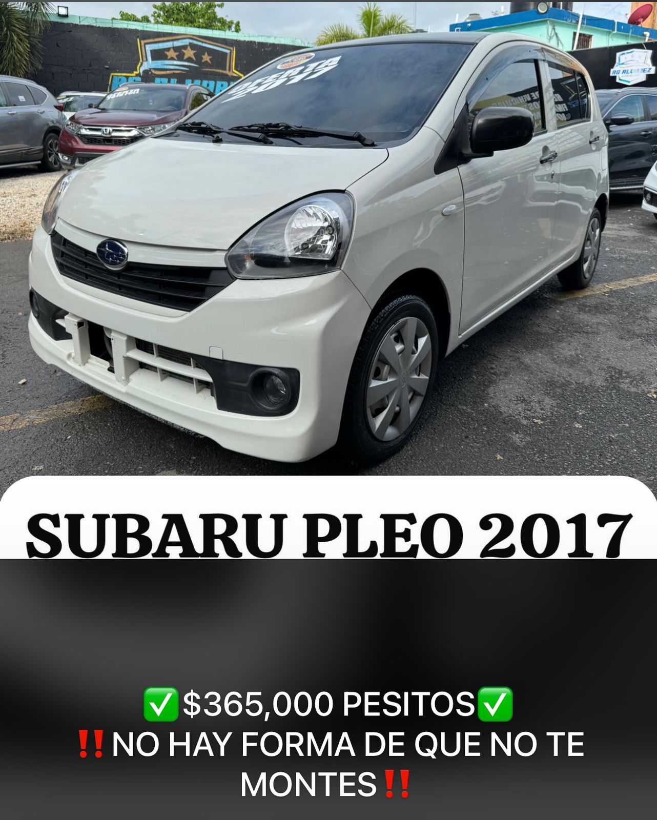 Subaru pleo 2017 Foto 7281651-10.jpg